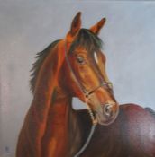Unframed oil painting 'My Friend' by Patricia Brown approx. 40cm x 40cm