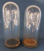 Pair of large circular glass domes with wooden bases on bun feet (one replaced) - slight nibbles