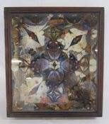 Cased taxidermy collage of butterflies, moths and beetles