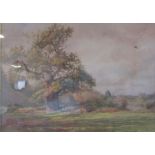 Framed watercolour depicting tree scene on Whatman's watercolour board signed, damage to board