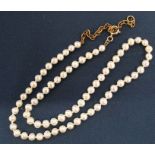 Pearl necklace with 9ct gold clasp