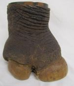 Early 20th century rhino foot with wooden pot liner