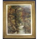 James Arundel (1875-1960) gilt framed oil on canvas depicting swans in wooded landscape, 68.5cm x