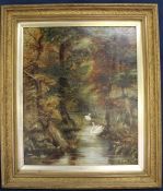 James Arundel (1875-1960) gilt framed oil on canvas depicting swans in wooded landscape, 68.5cm x