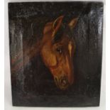 Unframed oil on canvas portrait of a horses head with indistinct signature, the reverse bearing