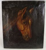 Unframed oil on canvas portrait of a horses head with indistinct signature, the reverse bearing