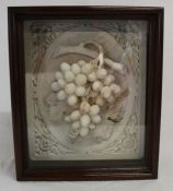 Carved marble plaque depicting grapes set in a plaster frame in mahogany case, 30cm w x 35cm h x