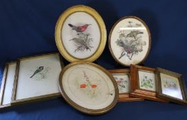 Pair of framed prints on silk of birds, S Mayes flower watercolours (2 in maple frames), pair of