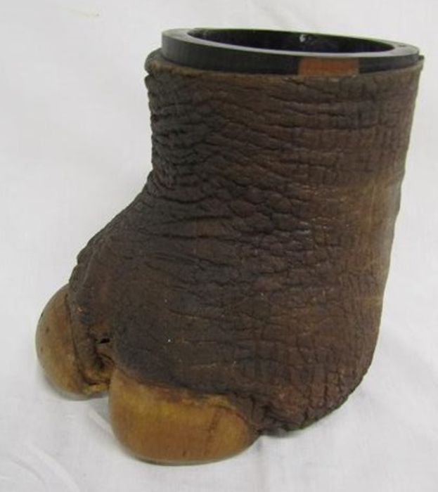 Early 20th century rhino foot with wooden pot liner - Image 3 of 3