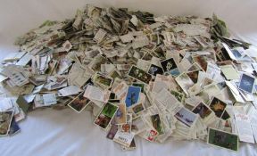 Large collection of unsorted cigarette cards