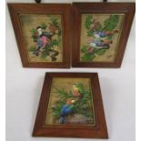 3 framed Gris bird oil paintings on leaves