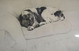 Limited edition 22/100 Cecil Aldin dry point etching of a spaniel on the sofa approx. 44cm x 34cm