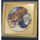 Early 20th century framed watercolour depicting dog & game bird signed Widdowson