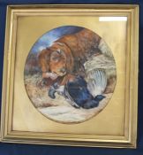 Early 20th century framed watercolour depicting dog & game bird signed Widdowson