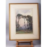 H Napper: watercolours, sheep grazing in woodland, 17 3/4" x 12", in wash line mount and gilt frame