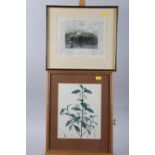 Three 19th century hand-coloured botanical prints, in strip frames, a view of Park Place and a