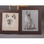 Susan Hubert: two bodycolour studies, Siamese cats, mounted