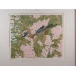 Wakelin: a signed limited edition print, "Jay in the Cherry Tree", 8/10, in painted frame