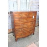 A 19th century mahogany bowfront chest of two short and four long graduated drawers with gilt