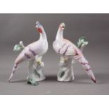 A pair of Royal Crown Staffordshire models of exotic birds, by M Doubell Miller, 8 1/2" high (