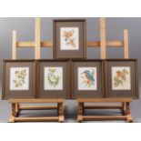David Mead: five watercolour studies, British birds, 5" x 4", in strip frames