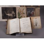 A collection of unframed book illustrations, mainly botanical studies, and three mounted 19th