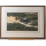 Jonathan Pomroy 2000: watercolour study, snipe, 8 3/4" x 15", in wash line mount and strip frame,