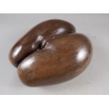 A polished coco de mer, 13" high