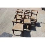 A set of six William IV carved rosewood loop back standard dining chairs with drop-in seats, on