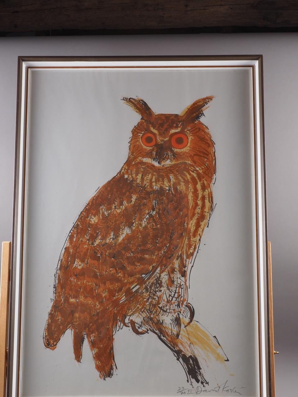 David Koster: a signed limited edition screen print, eagle owl, 23/30 IV, in strip frame