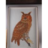 David Koster: a signed limited edition screen print, eagle owl, 23/30 IV, in strip frame