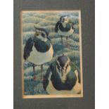 Robert Gillmor: a watercolour study, "lapwings", 8 1/4" x 5 3/4"