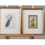 An Indian miniature botanical study, 5 1/4" x 3 1/2", in gilt frame, and a similar study of a