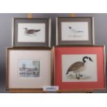 A collection of 19th century and later hand-coloured and other ornithological prints, etc, in