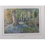 Louis Burleigh Bruhl: watercolours, "When Hare Bells Bloom Neath Beech or Birch" (Wall Hall Woods