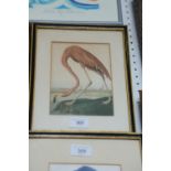 After John James Audubon: a print, study of a flamingo, in Hogarth frame, five other similar