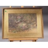 John Harmer: watercolours, study of birds nest and butterflies, 8 1/2" x 12", in gilt strip frame,