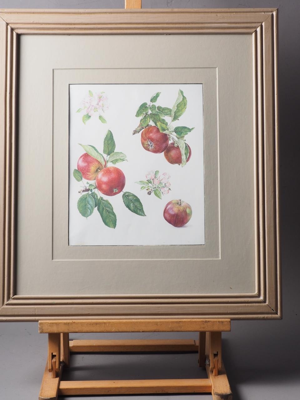 A set of three prints, studies of apples, in grey painted frames - Image 2 of 3