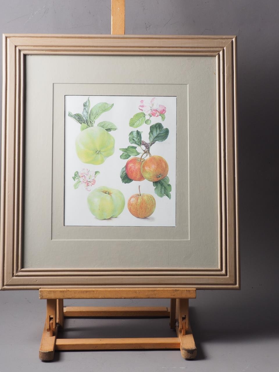 A set of three prints, studies of apples, in grey painted frames - Image 3 of 3