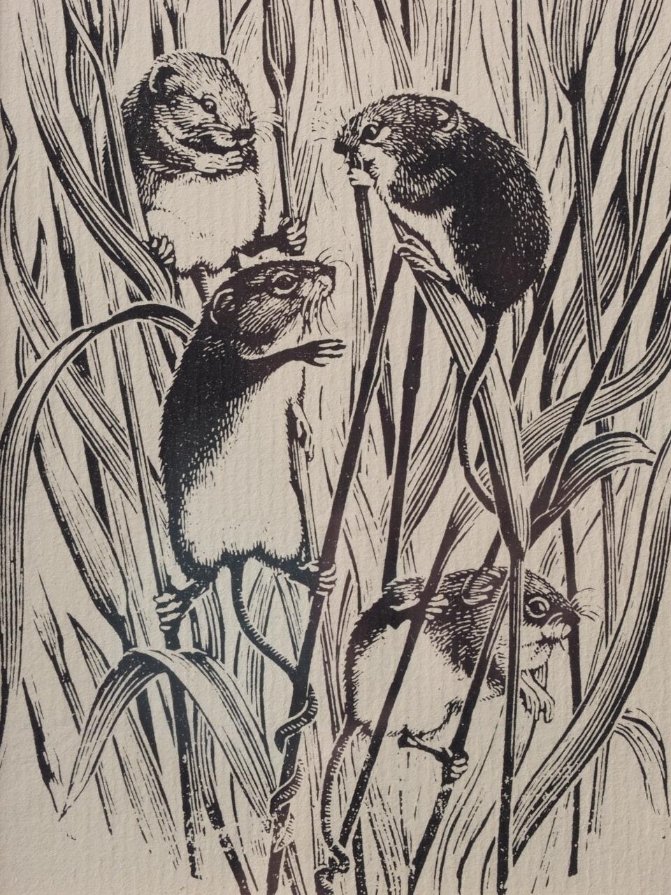 Joan Hussell: wood engraving, "Harvest Mice", in wood effect frame, and a Kono Bairei colour print - Image 2 of 5