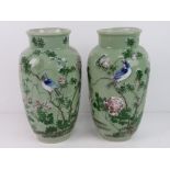 Pair of Celadon Glaze and enamels Oriental vases- Each Chinese vase having a blue sparrow like bird