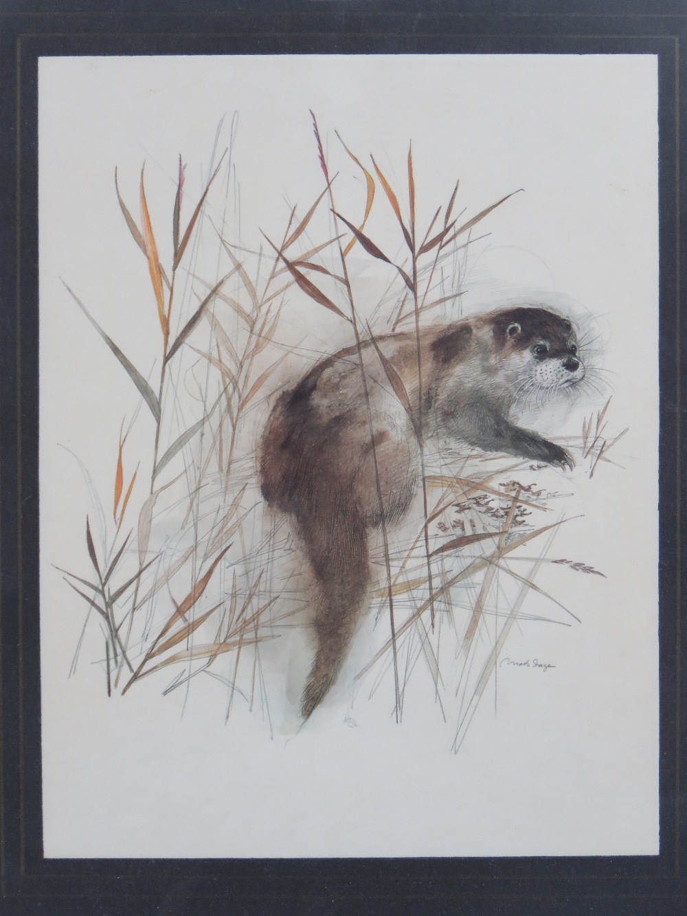 A pair of prints by Mad Stage being a otter and a squirrel, each 23 x 30cm, framed and mounted. - Image 4 of 5