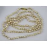 A long string of individually knotted pearls having yellow metal clasp, no apparent hallmarks,
