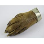 A Victorian otter paw brooch having silver plated mount with makers mark A & Co, 7cm in length.