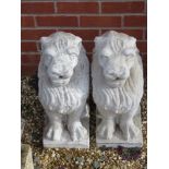 A pair of white painted pre-cast lions, each 54cm high.