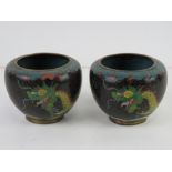 A pair of cloisonné Canton enamel short vases in black ground with yellow and green dragons upon