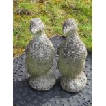 A pair of duck garden statues, each standing 35cm high.