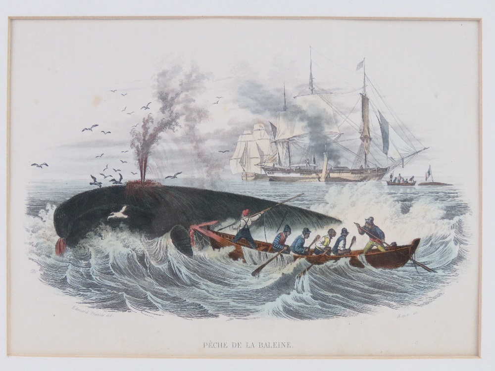 Two Whaling Hand Coloured Engravings: Rouargue after Morel XIX Hand coloured engraving 'peche de le - Image 3 of 7