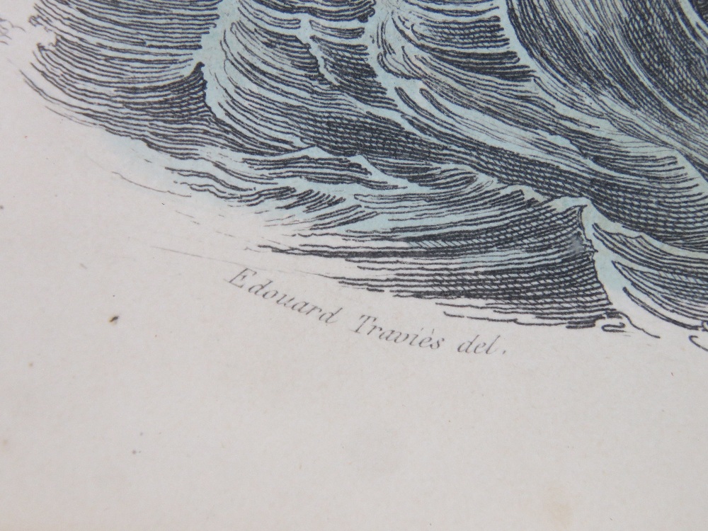 Two Whaling Hand Coloured Engravings: Rouargue after Morel XIX Hand coloured engraving 'peche de le - Image 4 of 7