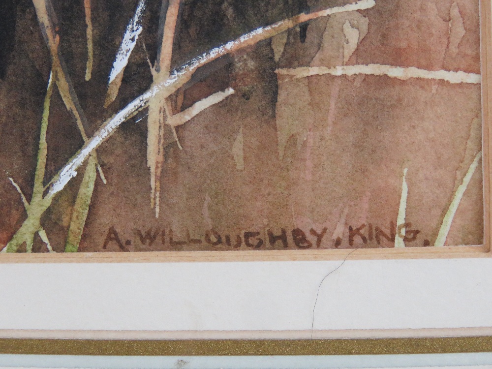 Ann Willoughby King ( mid XX) Watercolour with gouache highlights Portrait of a English Partridge - Image 3 of 4